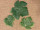 Weinreben-Streulaub 24 Stück, 6 - 12 cm, 3 Grössen, grün