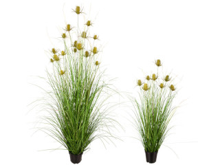 Distel-Grasbusch im Topf, grün, versch,. Grössen