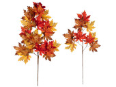 autumn leaf branch "maple mix" colorful, diff....