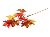 branche de feuilles dautomne "mix dérable" colorée, l 75cm, 9 feuilles