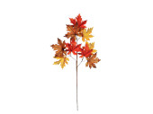 Herbstblattzweig "Ahorn-Mix" herbstbunt, L...