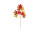 Herbstblattzweig "Ahorn-Mix" herbstbunt, L 75cm, 9 Blätter