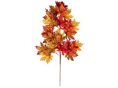 autumn leaf branch "maple mix" colorful, l...