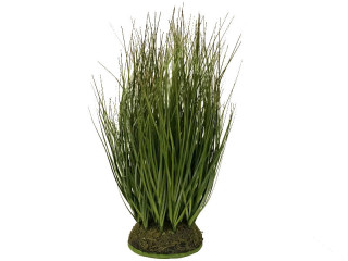 buisson dherbe rond, étroit, vert, Ø 20 x h 40cm