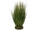 buisson dherbe rond, étroit, vert, Ø 20 x h 40cm