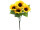 tournesol buisson 7 fleurs, jaune/vert, h 34cm