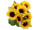 tournesol buisson 7 fleurs, jaune/vert, h 34cm