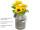 tournesol buisson 7 fleurs, jaune/vert, h 34cm