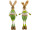 Hase "Hopsi" stehend, natur/grün, 18 x 12 x H 68cm, 2 Sorten gemischt, Preis pro Stück