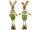 lapin "hopsi" debout, naturel/vert, 18 x 12 x h 68cm, 2 sortes mélangées, prix par pièce