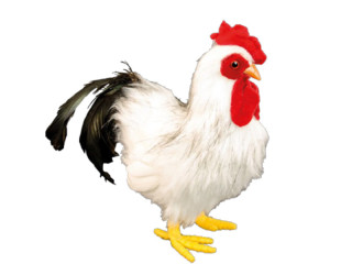 coq "pied de plume" blanc, 24 x 10 x h 22cm