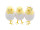 chick "Pauline" in egg, mixed motifs, yellow, Ø 5 x h 9cm, order unit/price per piece