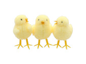 chick "Pauline", mixed motifs, yellow, 4 x 4 x...