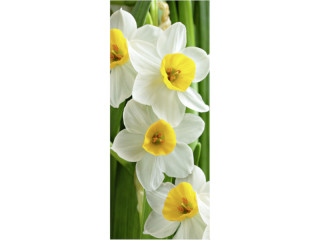 textile banner "narcissus", 75x180cm, white/yellow, tubular seam top+bottom