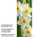 Textilbanner "Narzissen", 75x180cm, weiss/gelb,...