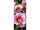 textile banner "primrose flowers", 75 x 180cm, pink/green, tubular seam top+bottom