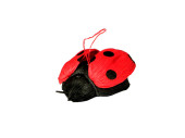 ladybeetle "paper" 5 x 10 x 10cm red-black