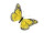 butterfly made of feathers, w 16cm, h 11cm, yellow