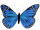 butterfly made of feathers, w 56cm, h 38cm, blue
