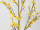 branche de forsythia grande, brun/jaune, l 120cm, l 50cm
