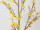 Forsythienzweig gross, braun/gelb, L 120cm, B 50cm