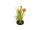 renoncule en motte de terre, 2 fleurs, h 20cm, orange