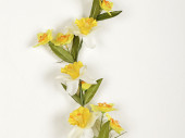 guirlande de narcisses, jaune/blanc, l 180cm, fleurs...