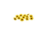 sunflower blossoms florale yellow, Ø 9cm, 12 pieces