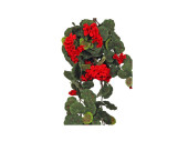 géraniums suspendus vert/rouge, h 70cm, env. l 35cm
