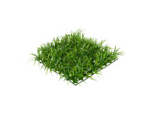 Grasplatte Wiese ohne Blüten grün, 25 x 25 x H 6cm