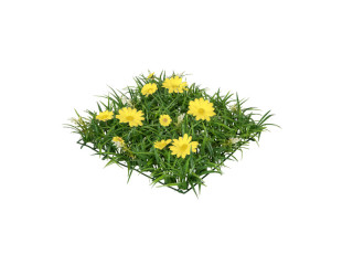 grass plate meadow with flowers green/yellow, 25 x 25 x h 6cm