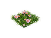 plaque dherbe prairie avec fleurs vert/rose, 25 x 25 x h 6cm