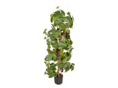 cep de vigne avec raisins vert/rouge, H 120cm, Ø 50cm