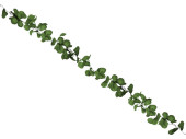 eucalyptus garland green, l 180cm