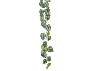 guirlande de feuilles scindapsus B1 vert, l 155cm difficilement inflammable