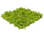 panneau de mousse "Reindeer" B1, vert, 25 x...