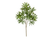 Zweig Podocarpus B1 grün, H 55cm, schwer entflammbar