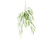 branche de saule suspendue B1 vert, l 130cm,...
