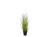 grass bush dogtail in pot B1 green, h 52cm, flame retardant