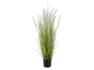 grass bush dogtail in pot B1 green, h 90cm, flame retardant