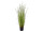 grass bush dogtail in pot B1 green, h 90cm, flame retardant
