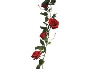 Rosengirlande "Majestic" rot, L 145cm