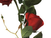 guirlande de roses "Majestic" rouge, l 145cm