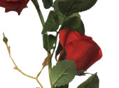 Rosengirlande "Majestic" rot, L 145cm