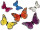butterfly made of feathers, var. sizes and colors