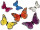 Schmetterling aus Federn, versch. Grössen und Farben