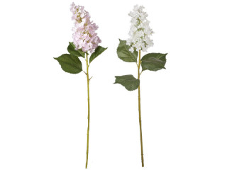 Hortensie XL, H 96cm, Blüte Ø 15 x L 25cm, versch. Farben