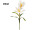 crocus XXL, 2 fleurs, h 90cm, l 35cm, blanc