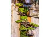 tree bark pieces, natural, 100g, l 4 - 12cm, approx. 20 - 25 pieces