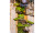 morceaux décorce darbre, naturels, 100g, l 4 - 12cm, env. 20 - 25 pcs.